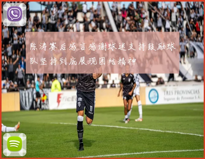 陈涛赛后感言感谢球迷支持鼓励球队坚持到底展现团结精神